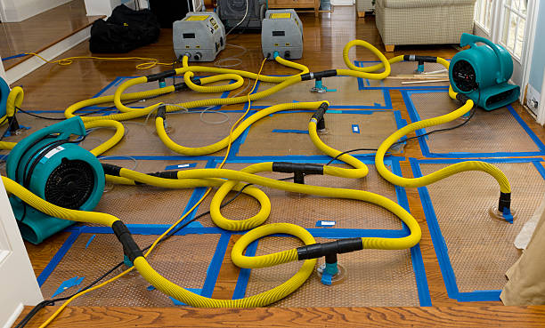 Professional Crawl Space Water Removal technician working in Casar, NC